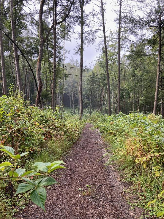 Beautiful Cabin On 83 Acres Near New River Gorge National Park Hico Esterno foto