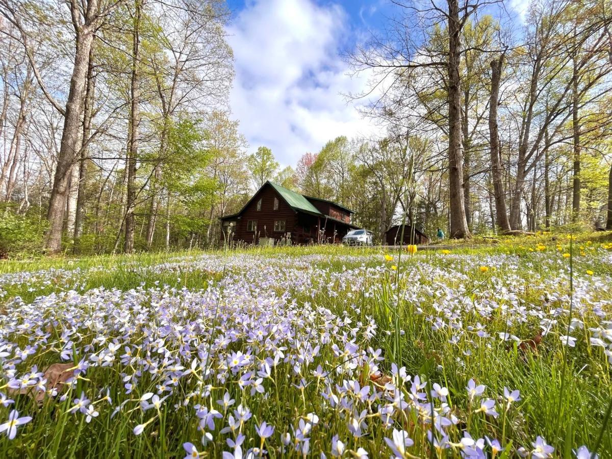Beautiful Cabin On 83 Acres Near New River Gorge National Park Hico Esterno foto