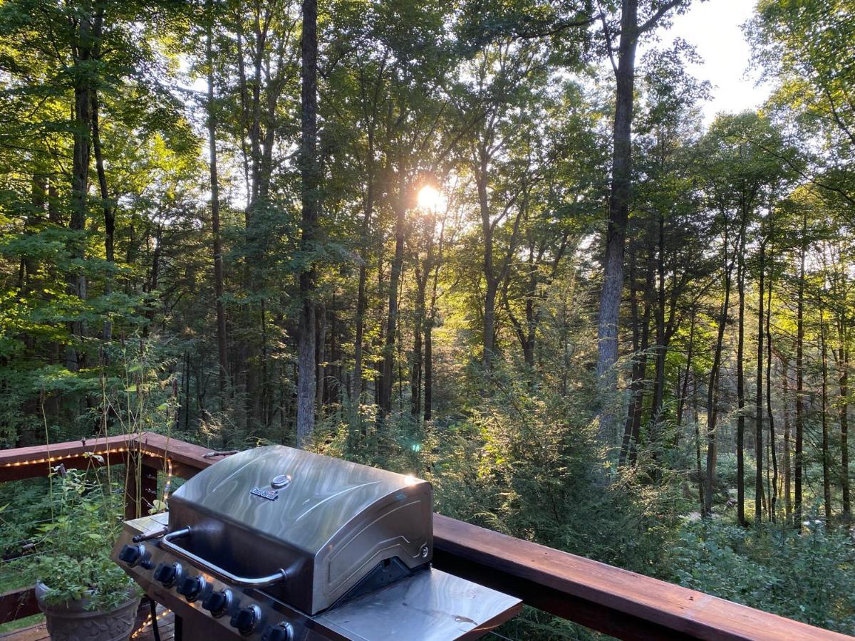 Beautiful Cabin On 83 Acres Near New River Gorge National Park Hico Esterno foto